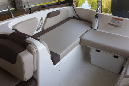 Bayliner Element XL 18