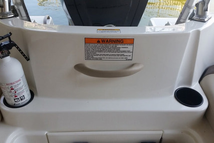 Bayliner Element XL 18