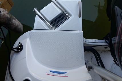 Bayliner Element XL 18