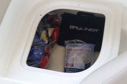 Bayliner Element XL 18