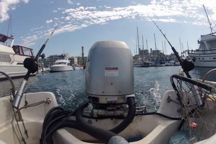 Boston Whaler 17 Montauk