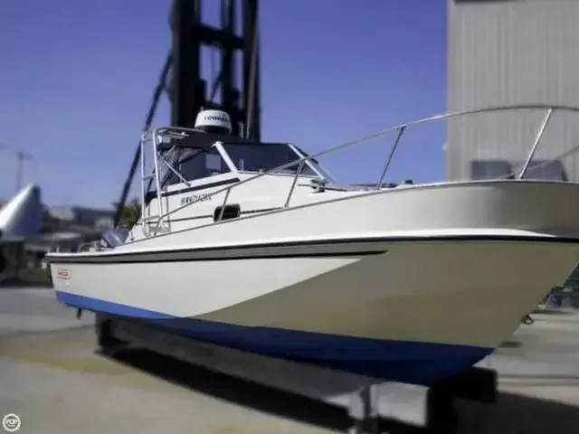 Boston Whaler 25 Revenge Walkaround