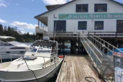 Boston Whaler 25 Revenge Walkaround