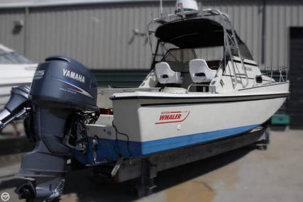 Boston Whaler 25 Revenge Walkaround