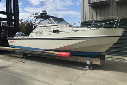 Boston Whaler 25 Revenge Walkaround