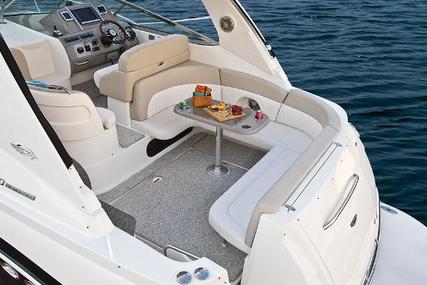 Chaparral 370 Signature