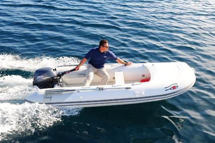 Ribeye NEW Tender TL310 - Boat Only