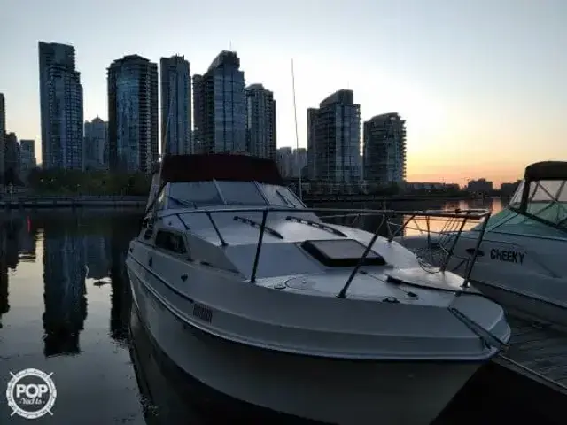 Bayliner Victoria sunbridge