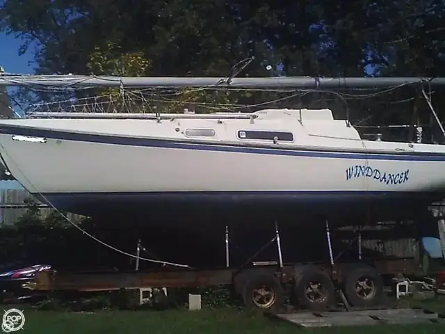 Paceship 29