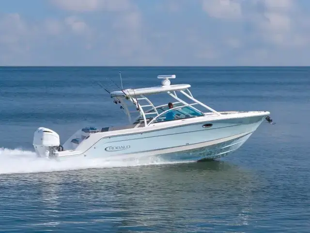 Robalo Dual console R317