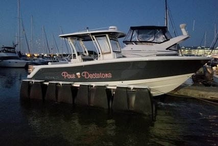 Robalo 302 Cc