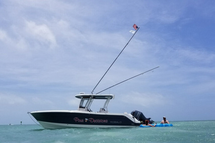 Robalo 302 Cc