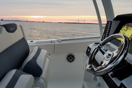 Robalo 302 Cc