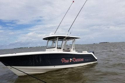 Robalo 302 Cc