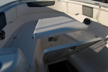 Robalo 302 Cc