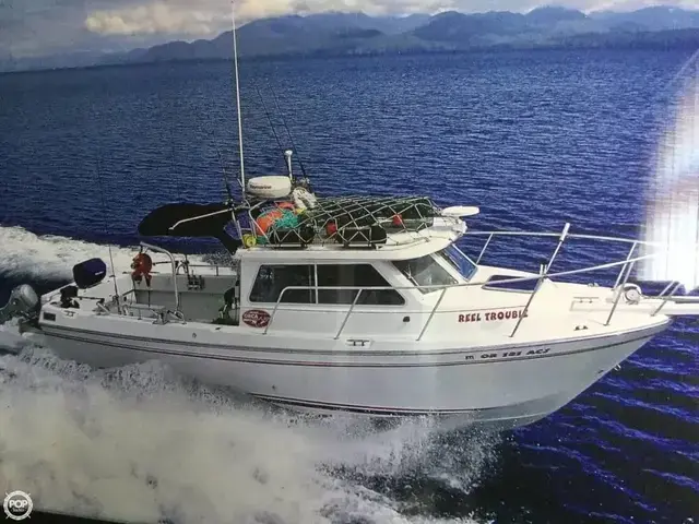 Skagit Orca 27