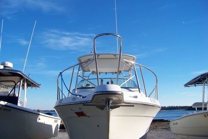 Robalo 2640 Walkaround