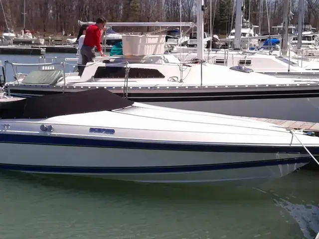 Scarab 21'