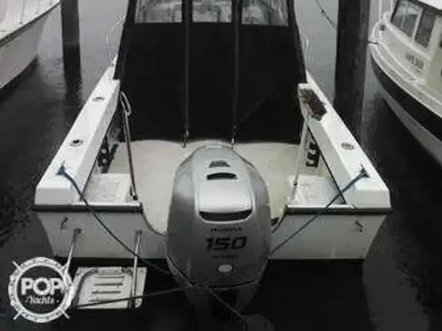 C Hawk 222 Sport Cabin