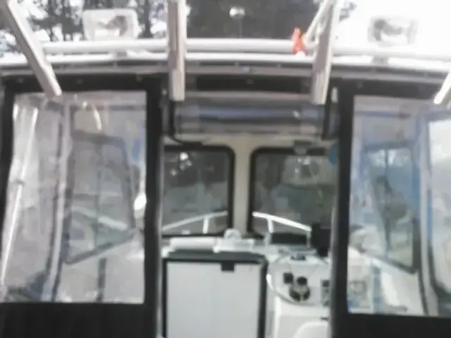 C Hawk 222 Sport Cabin