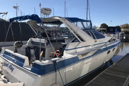 Bayliner Avanti 3450 Sunbridge