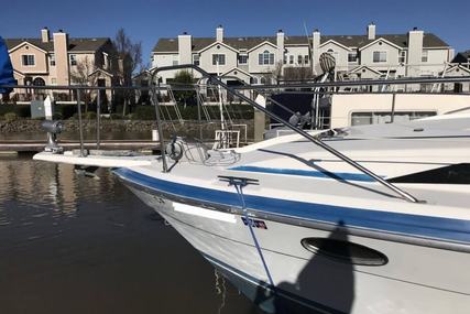 Bayliner Avanti 3450 Sunbridge