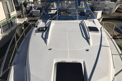 Bayliner Avanti 3450 Sunbridge