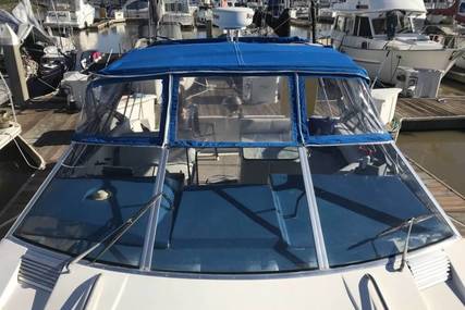 Bayliner Avanti 3450 Sunbridge