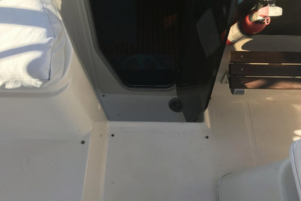 Bayliner Avanti 3450 Sunbridge