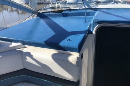 Bayliner Avanti 3450 Sunbridge