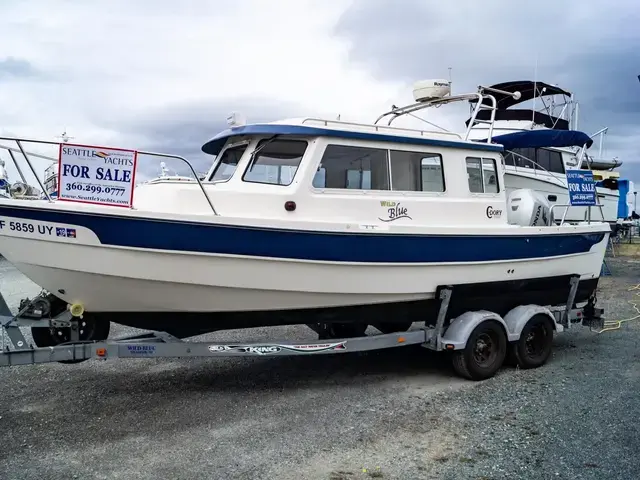 C Dory 25 Cruiser