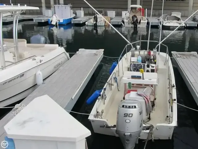 Boston Whaler 17 Montauk