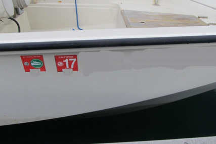 Boston Whaler 17 Montauk