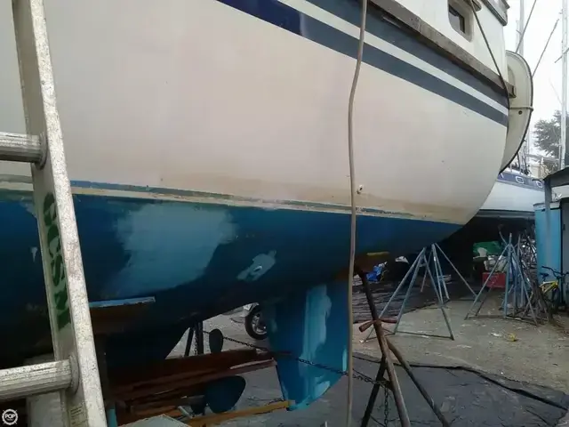 Sea Finn 411 Motorsailer