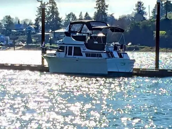 Sea Ranger 34 Tri Cabin