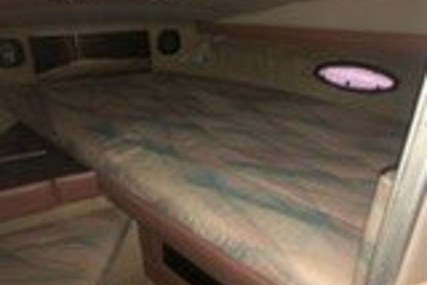 Bayliner Avanti 3785 Sunbridge