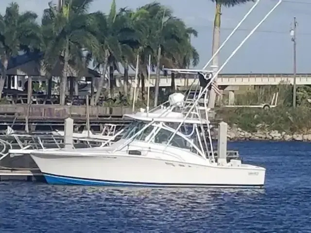 Luhrs 320 Tournament Open