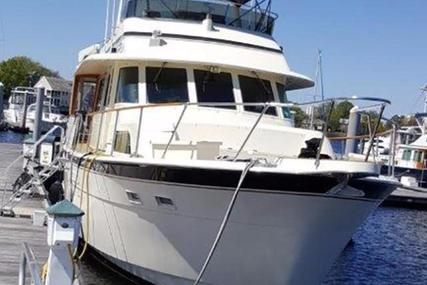 Hatteras Flybridge