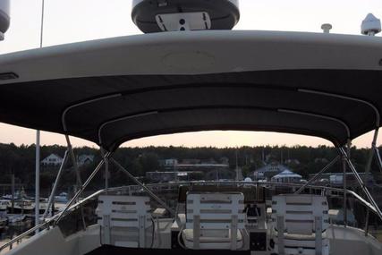 Hatteras Flybridge