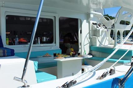 Custom Boats Catathai Catamaran