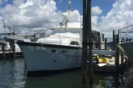 Hatteras 50