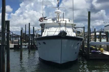 Hatteras 50