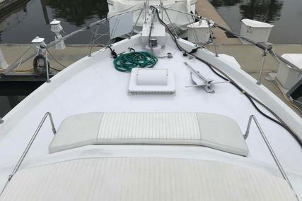 Hatteras 50