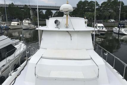 Hatteras 50