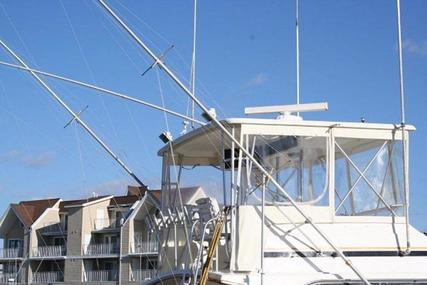 Egg Harbor 43 Sport Fisherman