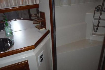 Carver 4208 Aft Cabin