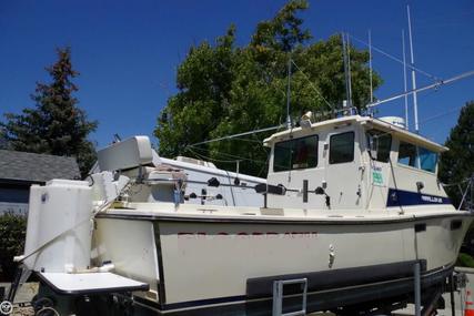 Farallon Whaleback 25