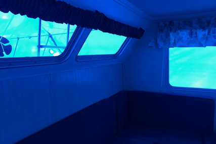 Holiday Mansion Barracuda Aft Cabin 37