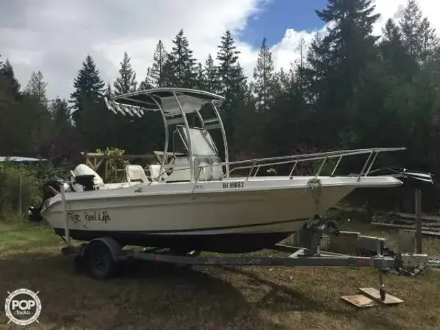 Sea Ray Laguna 17