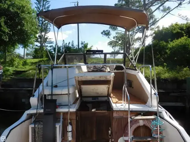 Winner 28 Flybridge